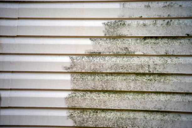 Best Residential Junk Removal  in Jesup, IA