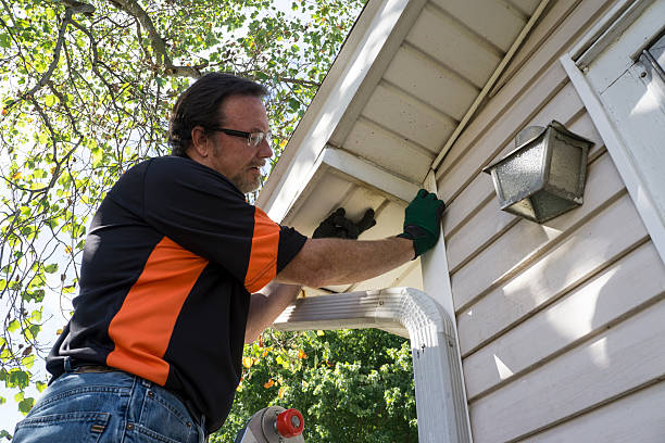 Best Same-Day Junk Removal Services  in Jesup, IA